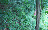 Adventure Package 2 Days 1 Night Phang Nga