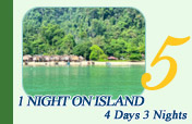 4 Days 3 Nights, 1 Night on Island
